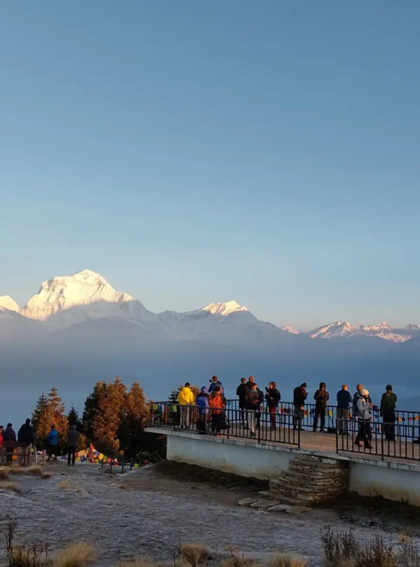 poon hill view dhawalgiri