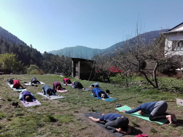 yoga junbesi trek and heal (8)